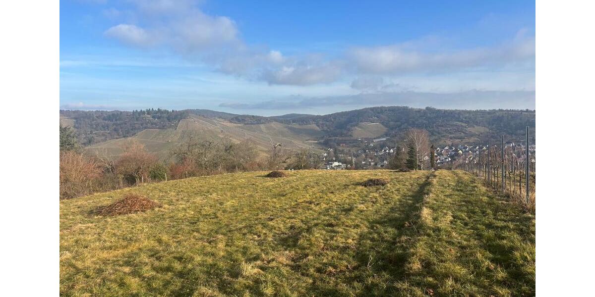 Grundstück Stuttgart Luginsland - 190&euro; | Angebot:25513081