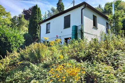 Haus zu vermieten - idyllisch auf 1000qm & Stadtnah
