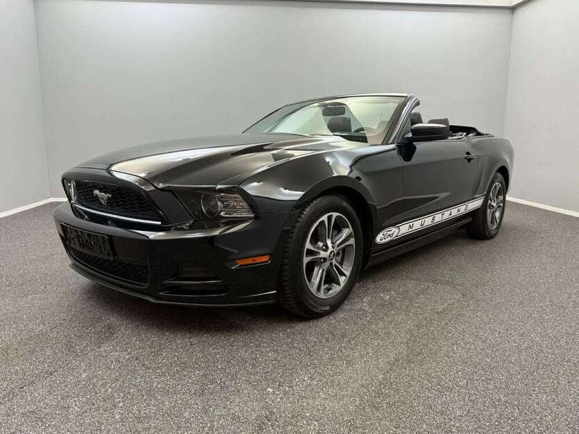 Mustang