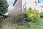 Einfamilienhaus Leinfelden-Echterdingen Leinfelden - 6 Zimmer, 549.000&euro; | Angebot:26275629
