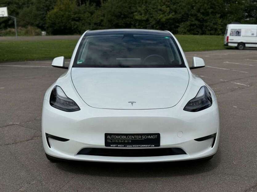 Model Y