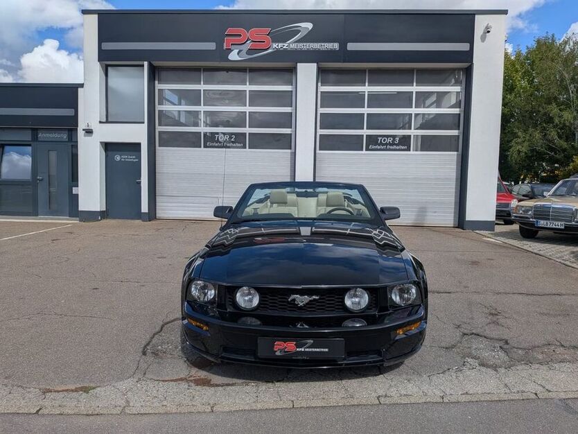 Mustang