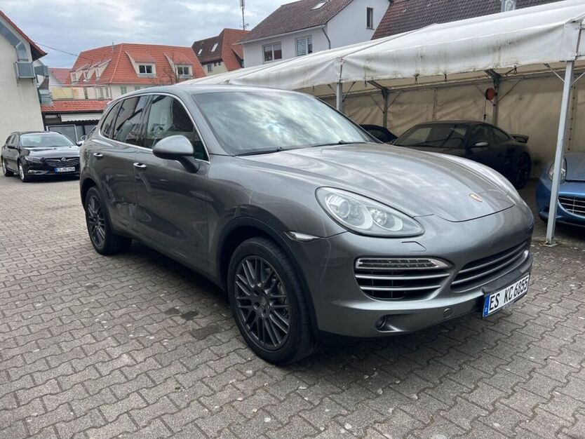 Cayenne