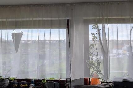 Wohnung Holzgerlingen - 1 Zimmer, 26 m&sup2;, 470&euro; | Angebot:25842335