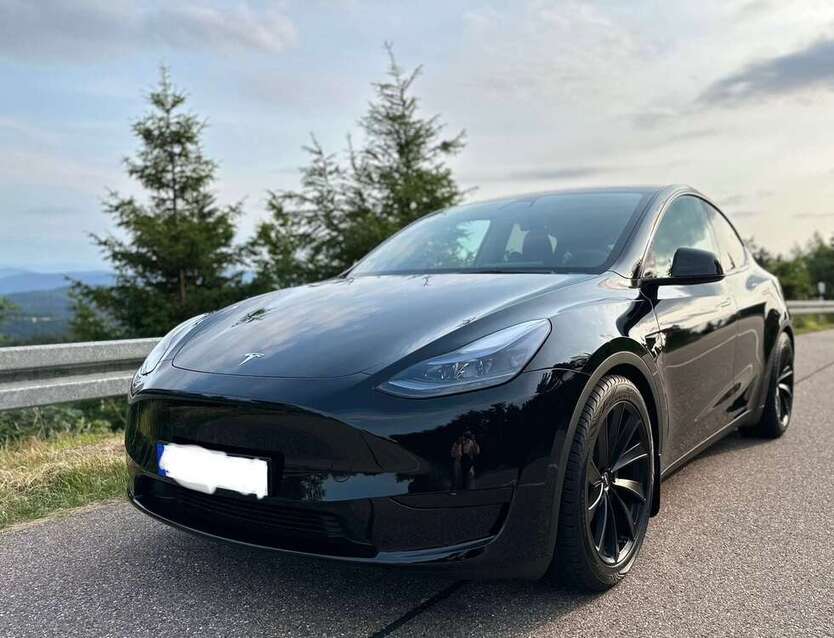 Model Y