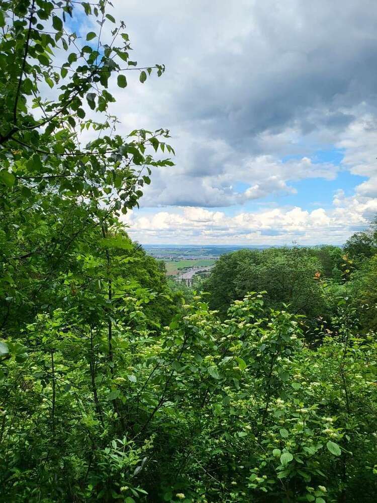 Grundstück zu verkaufen in Leonberg 1.400.000 € 1790 m²