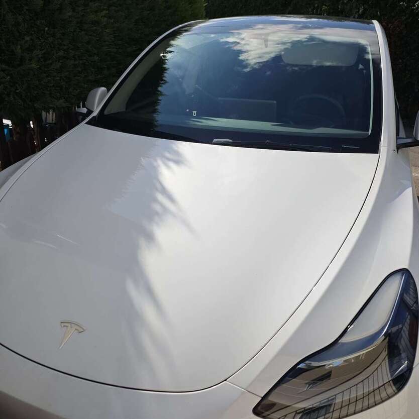 Model Y