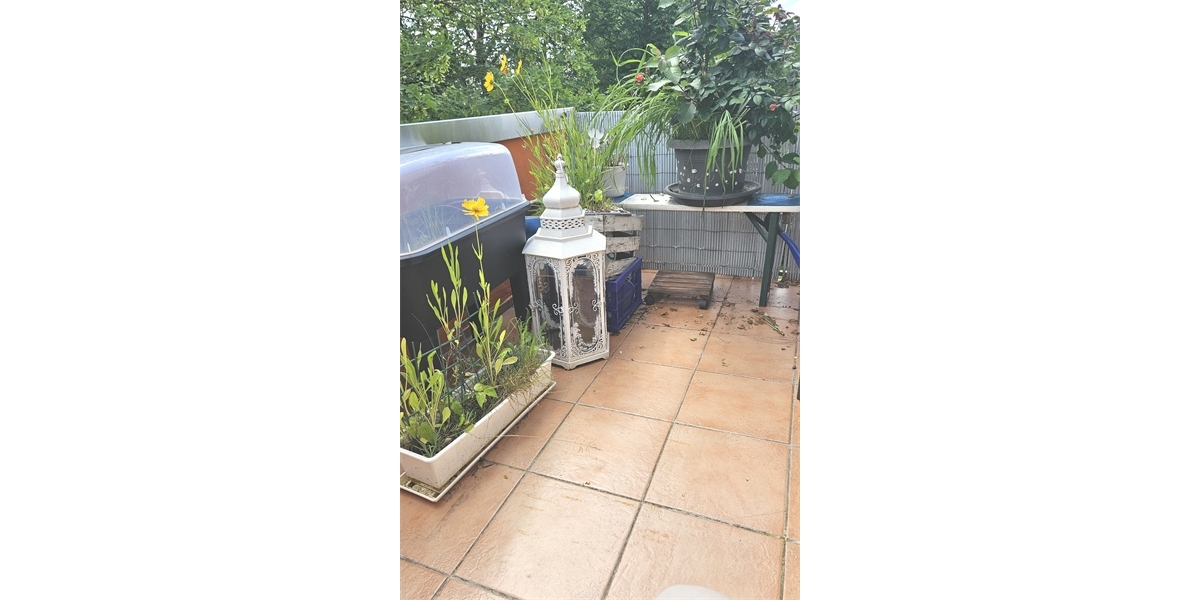 Schnucklige, 1-Zi.-Whg. mit EBK, Balkon und Stellplatz in Freiberg a.N. zu verkaufen - Etagenwohnung Freiberg Freiberg | Angebot:16895716