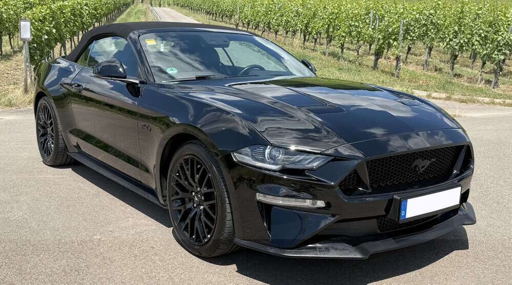 Mustang