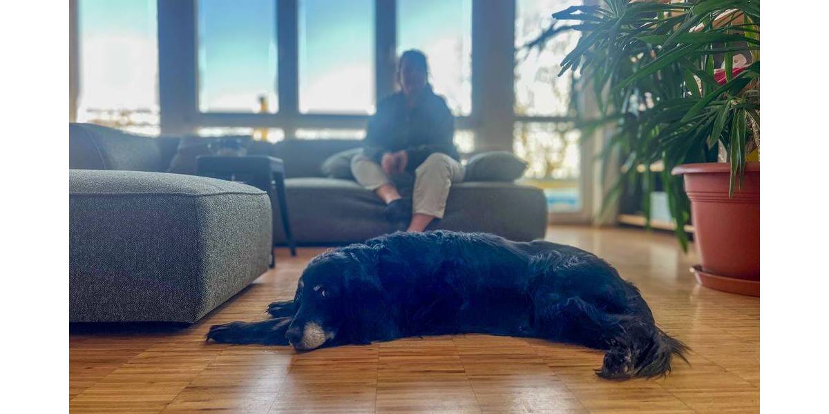 Gewerbeobjekt Sindelfingen Darmsheim - 450&euro; | Angebot:26188571