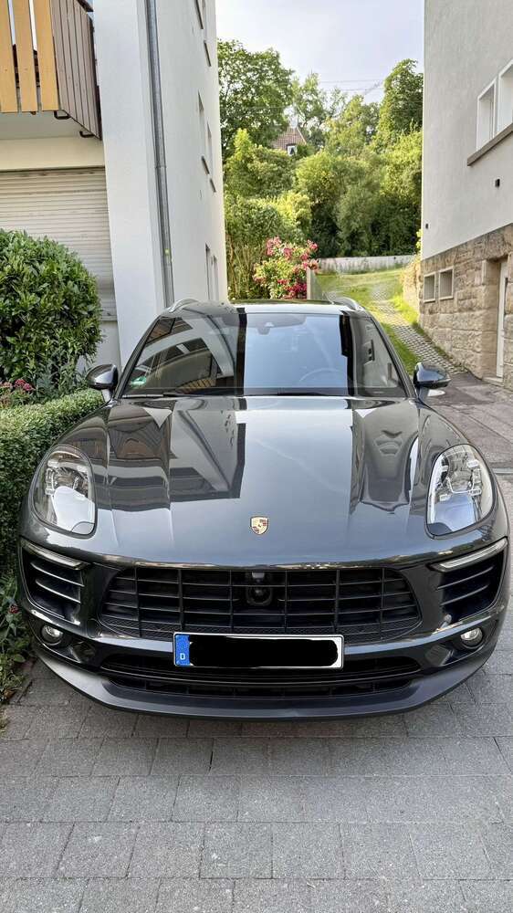 Macan