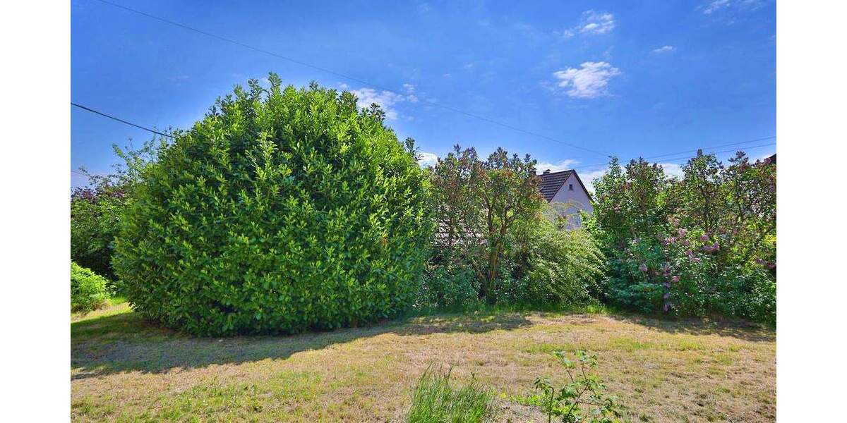 Großzügiges Baugrundstück in Toplage von Plattenhardt teilbar und vielseitig bebaubar zimmer