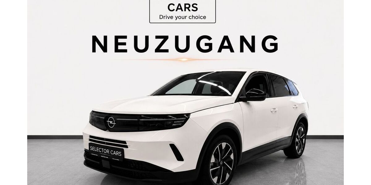 Opel Grandland (X) 17.790 km 24.999 &euro; Auenwald-Mittelbrüden 71549