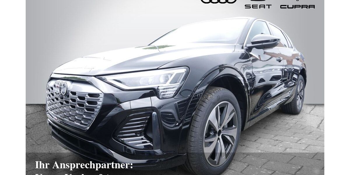 Audi Q8 e-tron 12.500 km 43.980 &euro; Bietigheim-Bissingen 74321