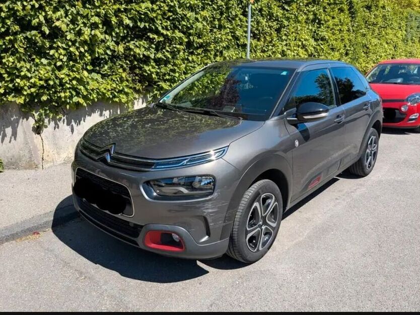C4 Cactus