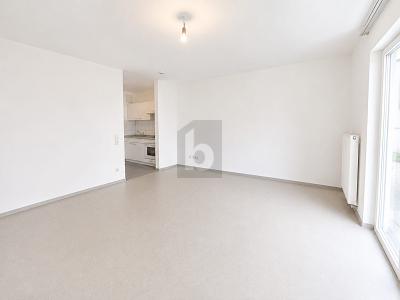 LEERSTEHEND UND BARRIEREFREI ALS KAPITALANLAGE - Erdgeschoßwohnung Murr | Angebot:26951922