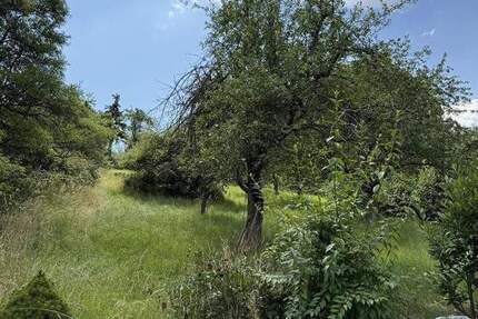 Grundstück Remshalden Geradstetten - 19.500&euro; | Angebot:24532768