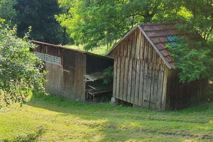 Grundstück zu verkaufen in Schorndorf 39.000 € 4746 m² zimmer