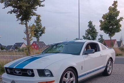 Ford Mustang 214.000 km 13.000 &euro; Feuerbach 70469