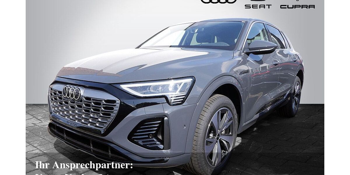 Audi Q8 e-tron 9.500 km 47.970 € Bietigheim-Bissingen 74321