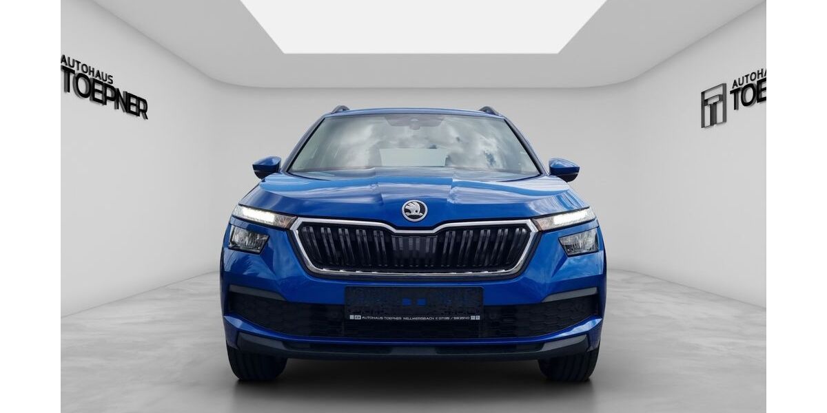 Skoda Kamiq 64.700 km 17.700 &euro; Leutenbach 71397