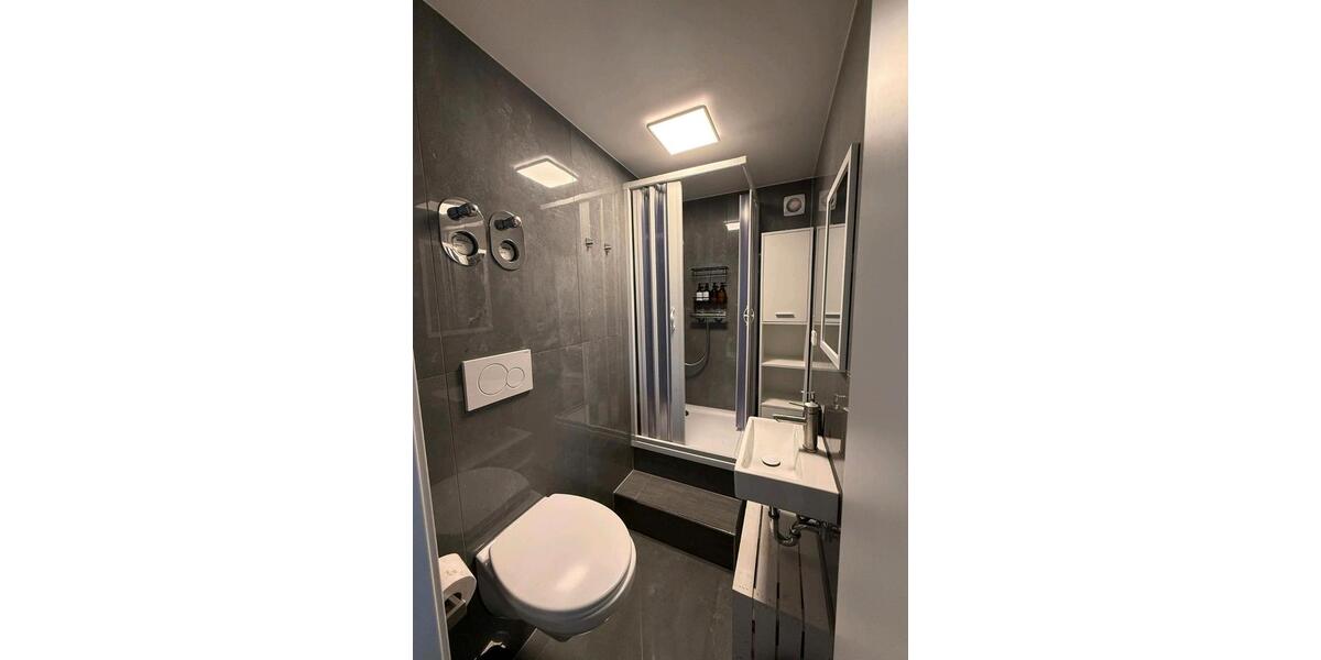 1 Zi Wohnung zu vermieten ab Februar 1 zimmer