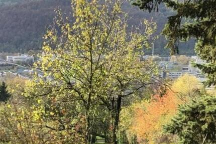 Gehobenes Wohnen mit toller Aussicht im Ortsteil Neckarhalde 1.5 zimmer