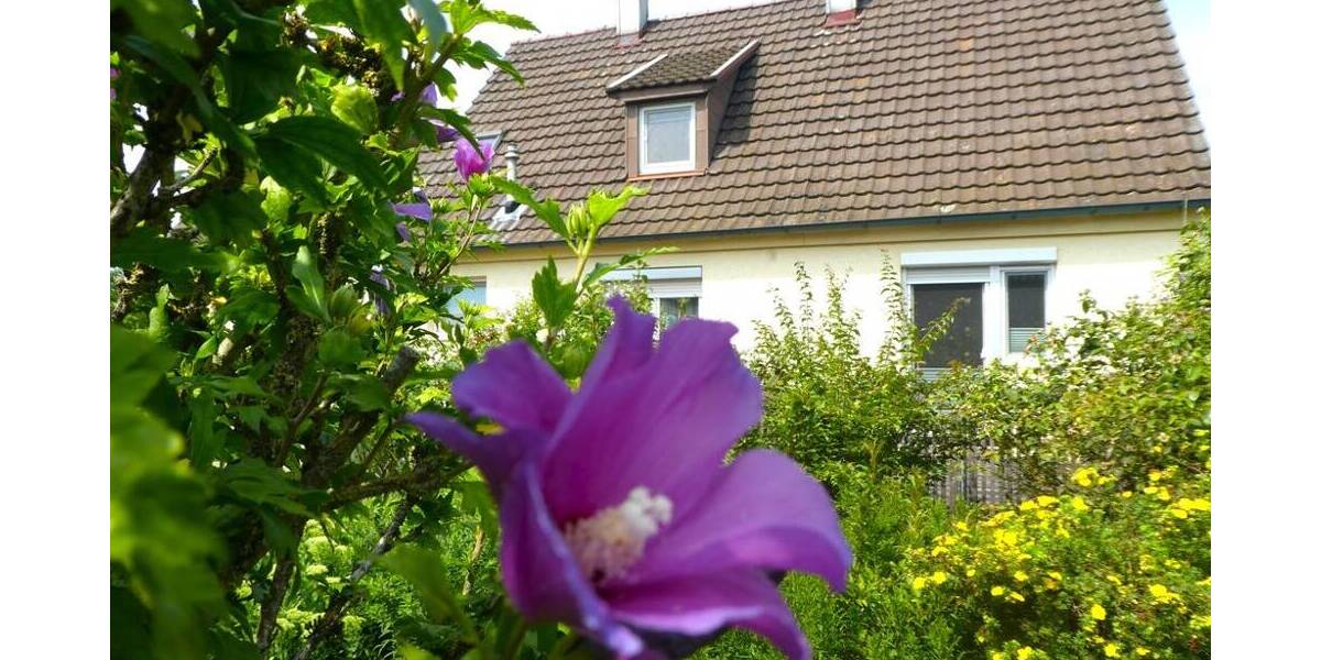 Grundstück Bietigheim-Bissingen Bietigheim - 595.000&euro; | Angebot:25777946