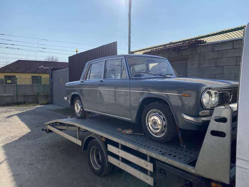 Fulvia