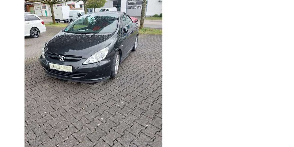 Peugeot 307 115.000 km 4.950 &euro; Winterbach 73650