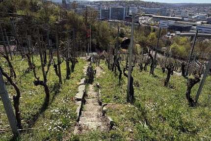 Grundstück Stuttgart Zuffenhausen - 16.000&euro; | Angebot:26165375