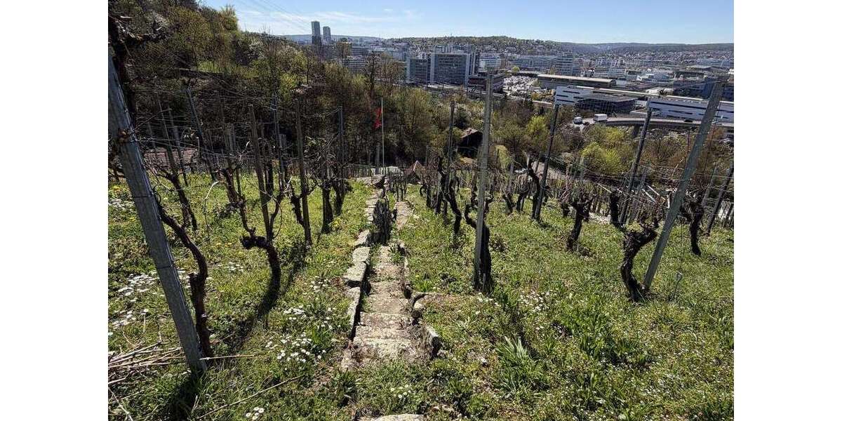 Grundstück Stuttgart Zuffenhausen - 16.000&euro; | Angebot:26165375