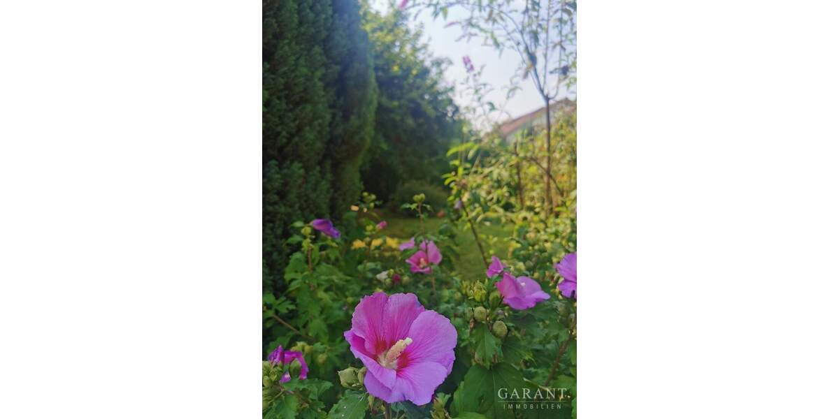 Einfamilienhaus Backnang - 6 Zimmer, 168 m&sup2;, 599.000&euro; | Angebot:24270784