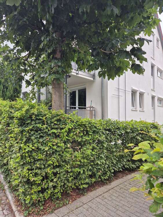 Wohnung zum Mieten in Pliezhausen 1.200 € 79.5 m² 3 zimmer