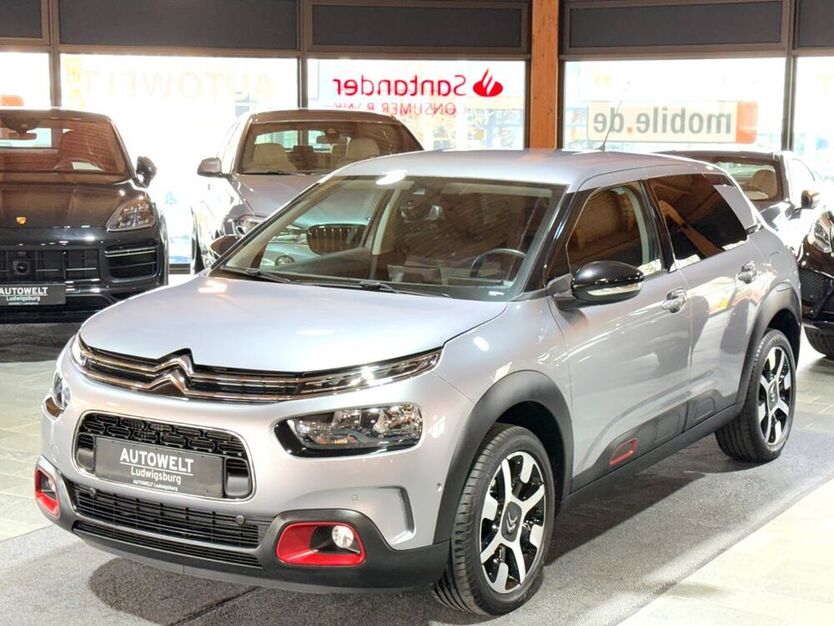 C4 Cactus