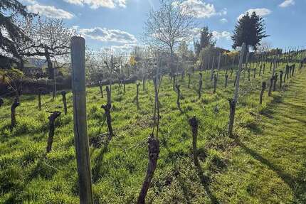 Grundstück zu verkaufen in Stuttgart 22.000 € 615 m² zimmer