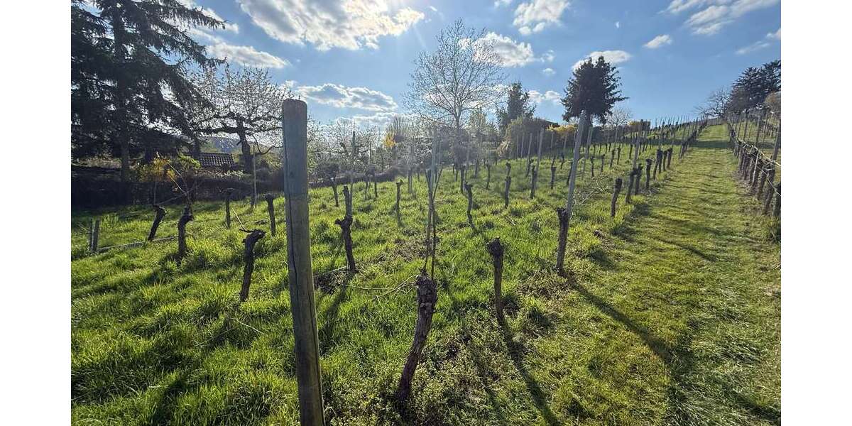 Grundstück zu verkaufen in Stuttgart 22.000 € 615 m² zimmer