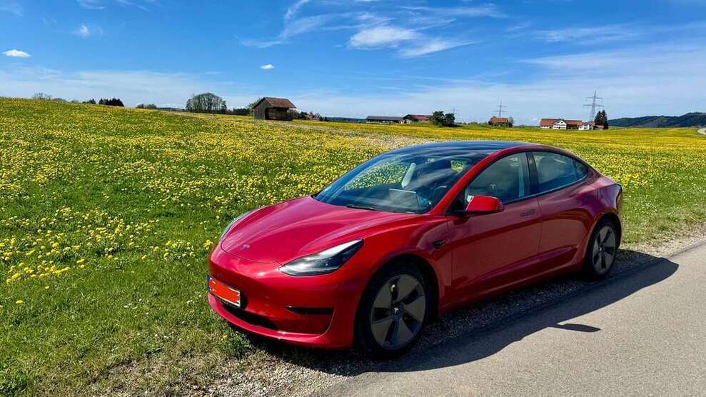 Model 3