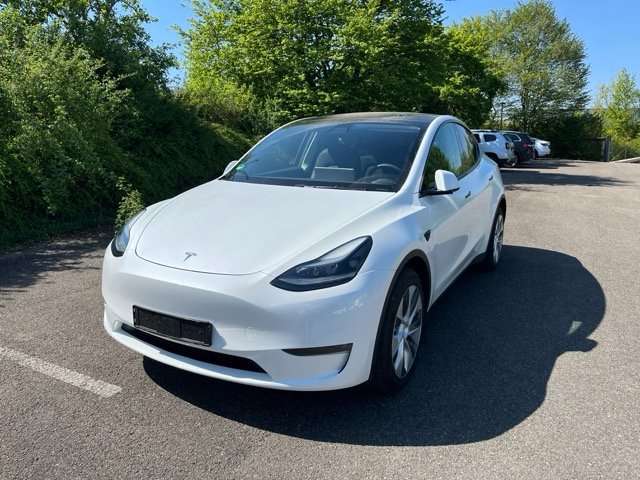 Model Y