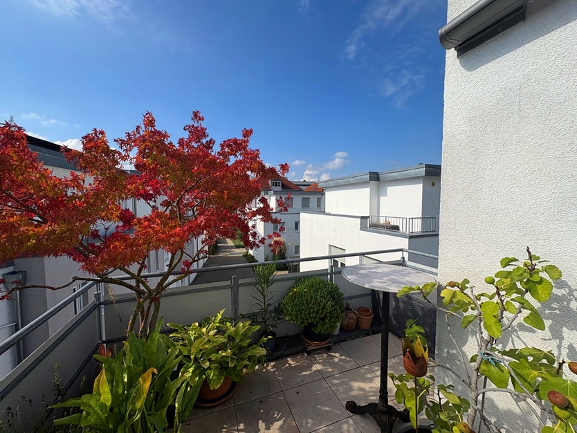 „Bequem leben in jedem Alter – attraktive 4,5 Zimmer Wohnung in ruhiger Lage von Mettingen 4.5 zimmer