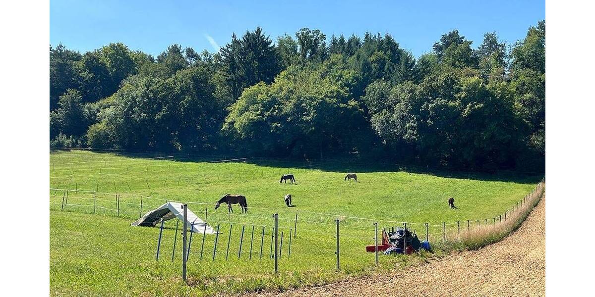 Doppelhaushälfte Weissach Flacht - 6 Zimmer, 164 m&sup2;, 799.000&euro; | Angebot:23562916