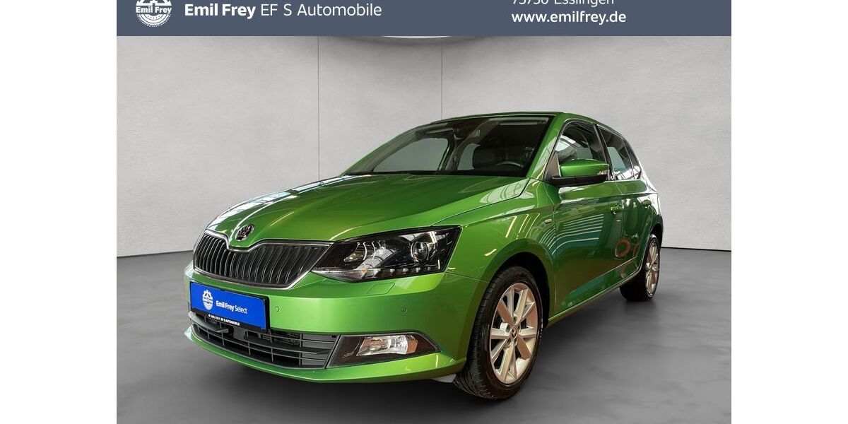Skoda Fabia 133.362 km 7.890 &euro; Esslingen 73730