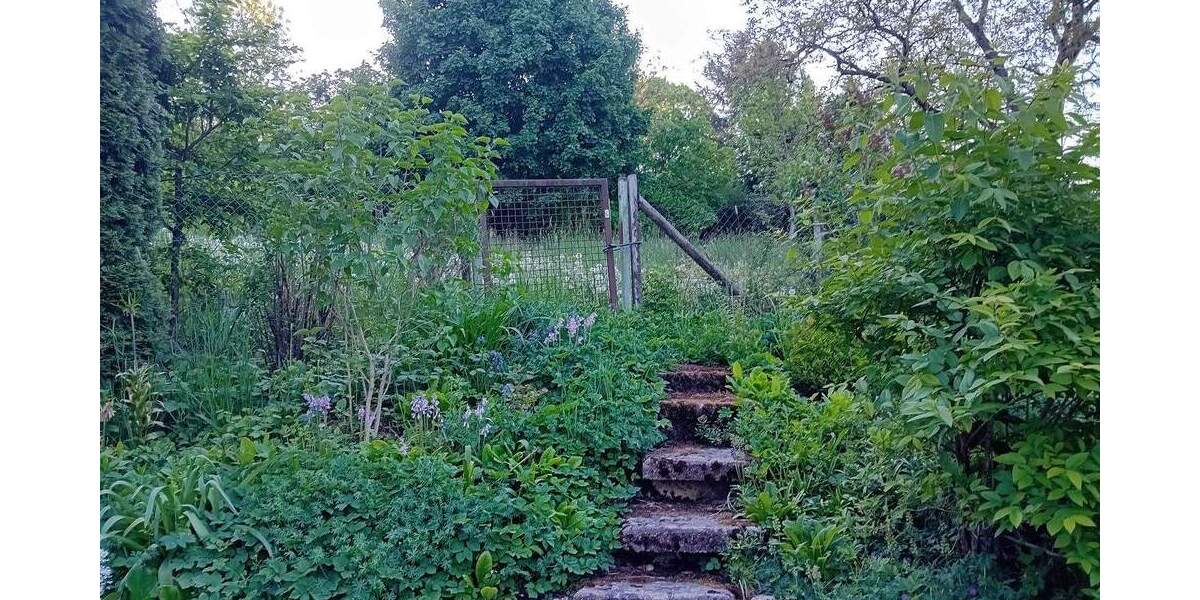 Grundstück Schorndorf - 16.000&euro; | Angebot:24031628