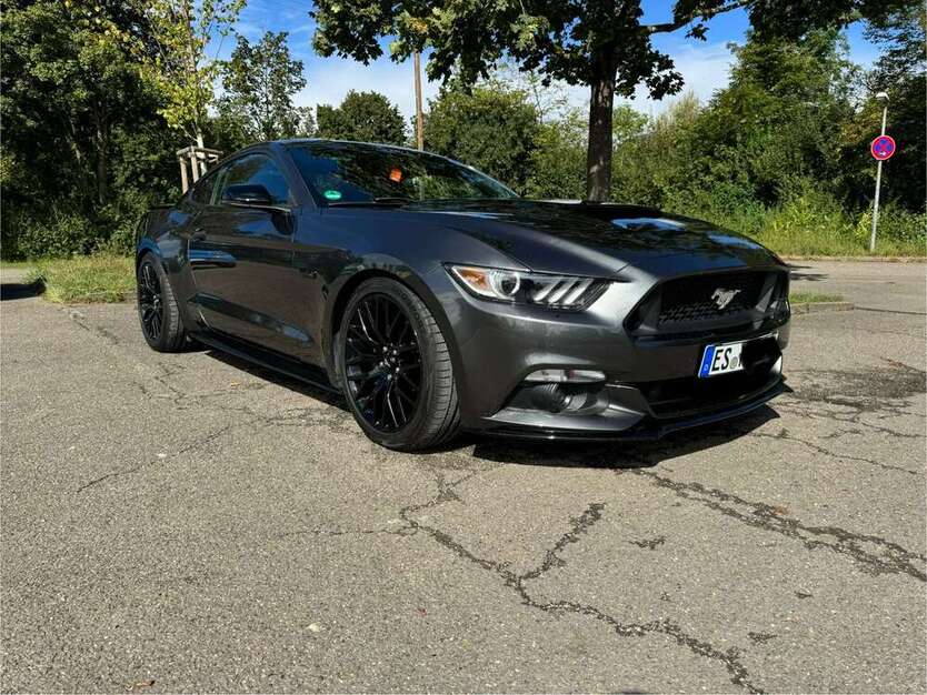 Mustang