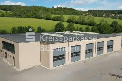 Gewerbeobjekt Ehningen - 4.100.000&euro; | Angebot:26366565