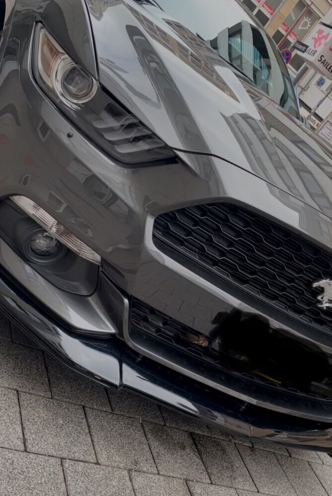 Mustang