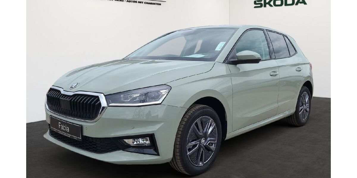 Skoda Fabia 5.000 km 22.935 &euro; Ingersheim 74379
